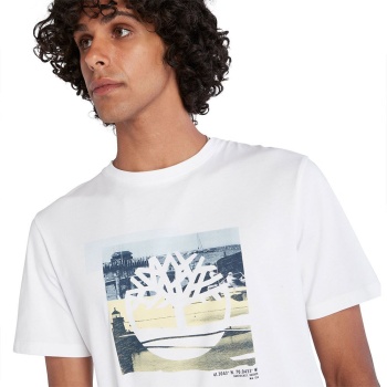 TIMBERLAND COAST GRAPHIC TREE A65WH 100